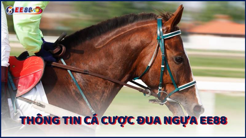 Thong Tin Ca Cuoc Dua Ngua Ee88